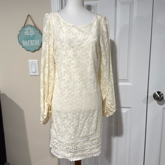 Laundry By Shelli Segal Dresses & Skirts - Laundry by Shelli Sagal Ivory Lace, lined dress